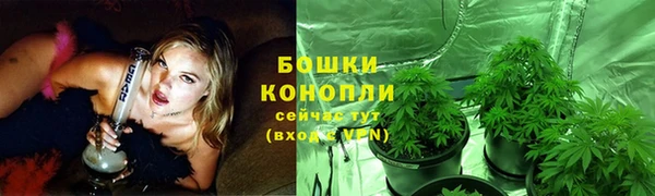ГАЛЛЮЦИНОГЕННЫЕ ГРИБЫ Ладушкин