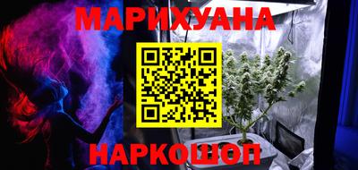 шишки Канаш