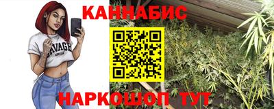 прущие грибы Камышлов