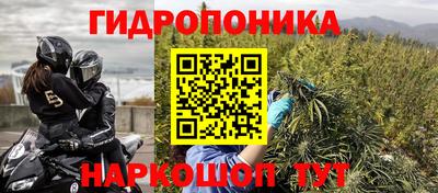 шишки Канаш