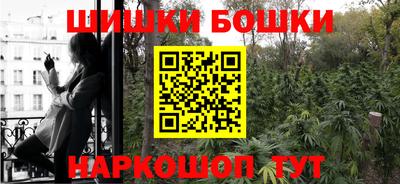 шишки Канаш