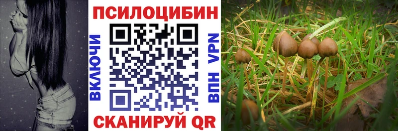 это какой сайт Наро-Фоминск Галлюциногенные грибы GOLDEN TEACHER где купить наркотик