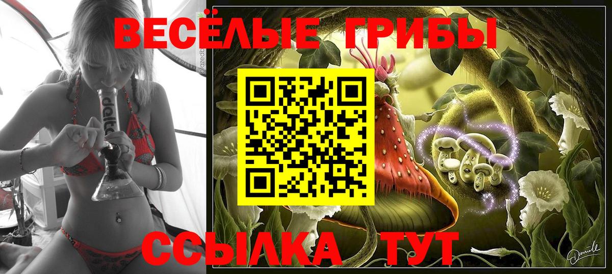 Галлюциногенные грибы Psilocybine cubensis  Галлюциногенные грибы Cubensis  Наро-Фоминск  Вход с VPN 